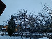 Olešná