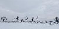 Lukovany