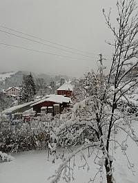 Skalité