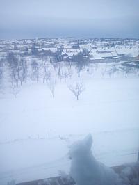 Žádovice