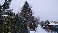 Varnsdorf