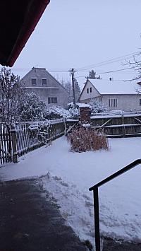 Třibřichy