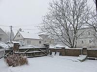 Třibřichy