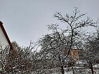 Olešná
