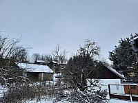 Olešná
