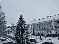Český Těšín