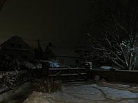 Třibřichy