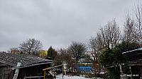 Hořice - Libonice