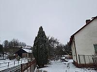 Olešná
