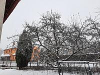 Olešná