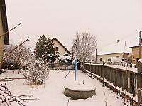 Třibřichy