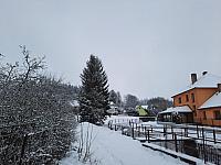 Olešná