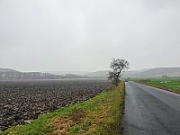 Lužice u Mostu 