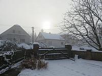 Třibřichy