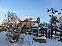 Třibřichy