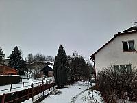 Olešná