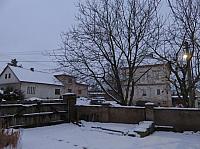 Třibřichy