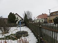 Třibřichy
