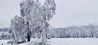 Holčovice
