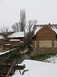 Třibřichy