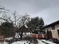Olešná