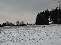 Němčice Zhoř