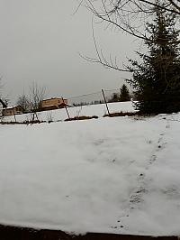 Skalité