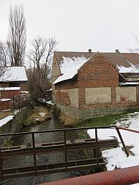 Třibřichy