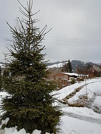 Skalité