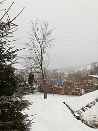 Skalité