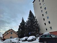 Jihlava