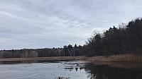 Břehy