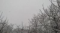 Vochov 