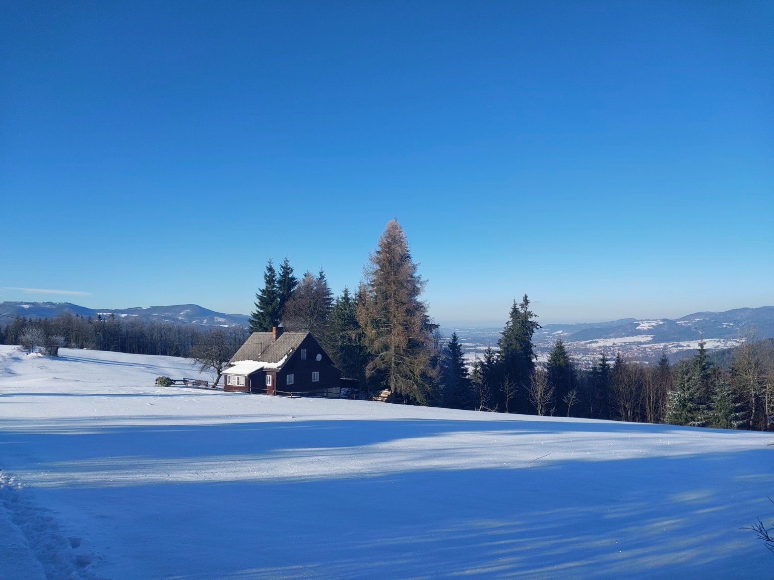 Studeničný