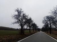 Lukovany
