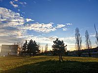 Most