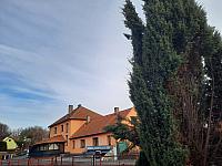 Olešná