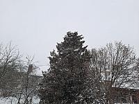 Olešná