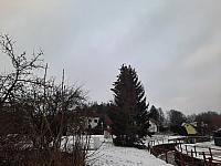 Olešná