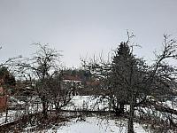 Olešná