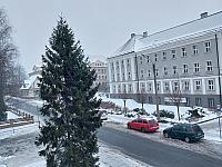 Český Těšín