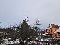 Olešná