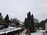 Olešná