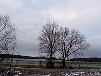 Lukovany