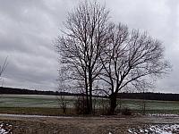 Lukovany