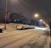 Borovina
