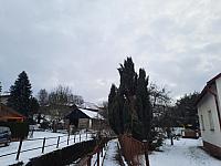 Olešná