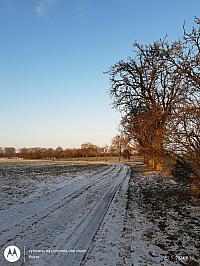 Fotografie