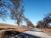 Lukovany