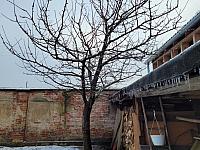 Císařov